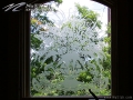 NuEtch-ArtForGlass-Residential_1492